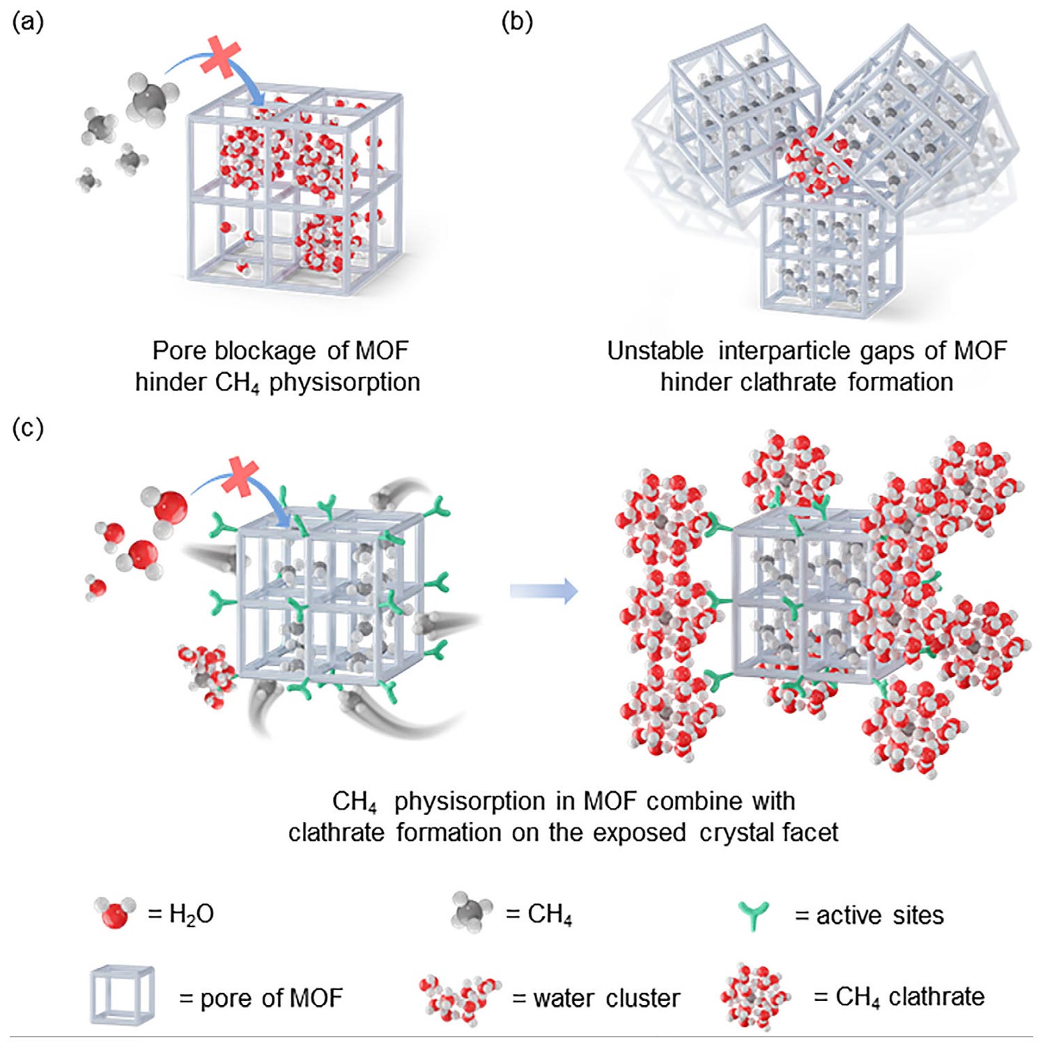 AFM甲烷储存示意图