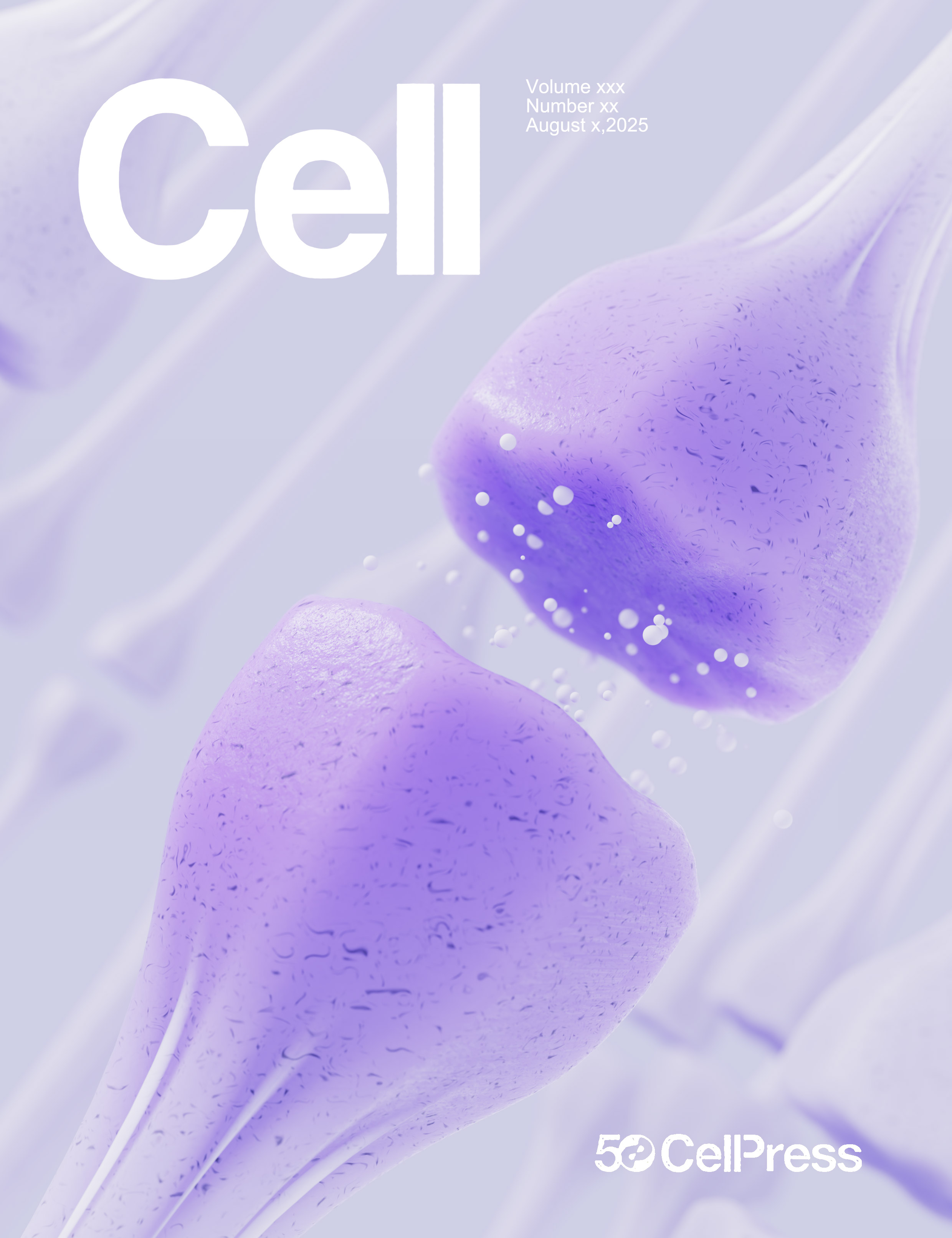 cell神经元封面设计