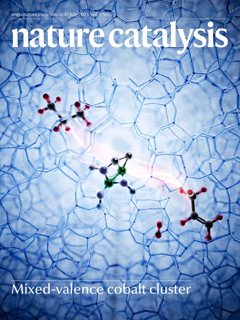 Nature Catalysis 亚纳米钴氧簇丙烷脱氢催化封面视觉设计