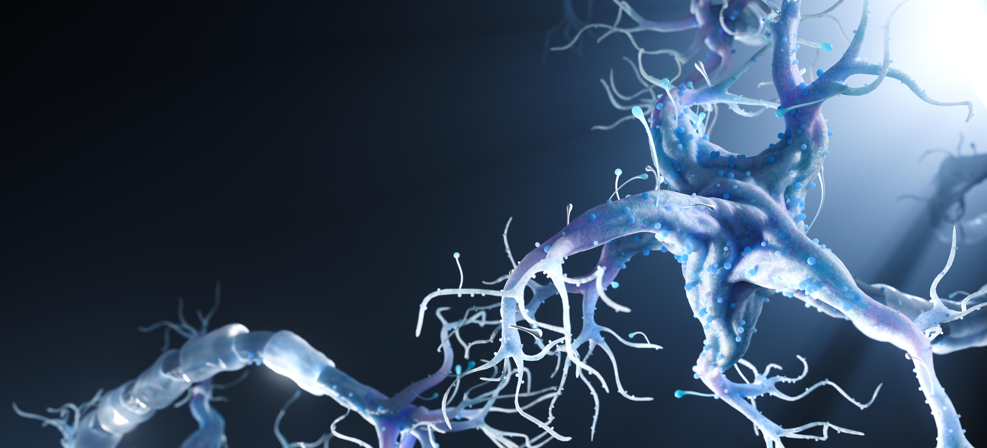 公司亮点数据背景